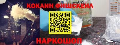 гашик Камышлов