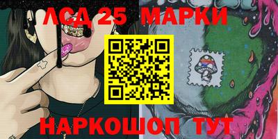 гашик Камышлов