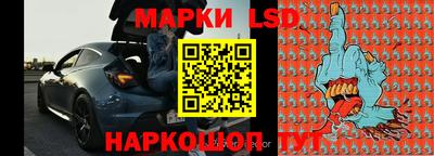 гашик Камышлов