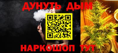 гашик Камышлов