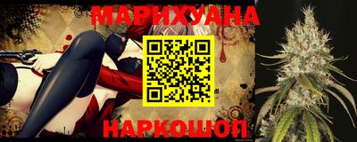 гашик Камышлов