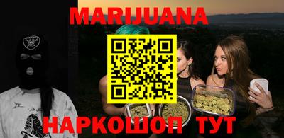 гашик Камышлов