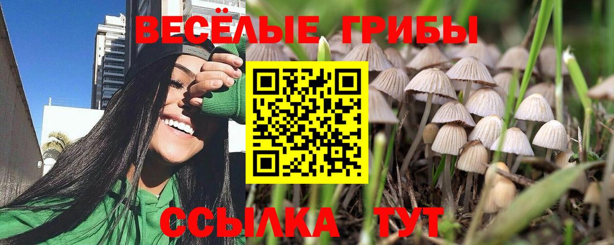Галлюциногенные грибы ЛСД  Галлюциногенные грибы ЛСД  Зерноград  Вход с VPN 